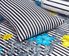 Zebra Cotton Printed Bedsheet Set